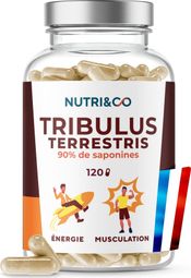 Tribulus Terrestris - 90% Saponines - 120 gélules