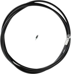 Durite de Frein 2M Campagnolo (Banjo sans vis de maître-cylindre)