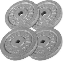 Disques de poids en fonte gris - De 0 5 KG à 30 KG - Poids : 30 KG ( 2 X 5 KG ET 2 X 10 KG)