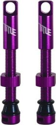 Valves Tubeless Title Violet