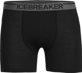 Boxer Icebreaker anatomica