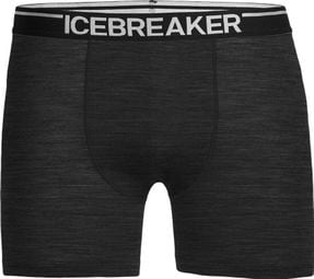 Boxer Icebreaker anatomica