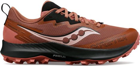 Women's Trail Running Shoes Saucony Peregrine 14 GTX Red Black