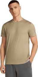 Heren Icebreaker Merino 150 Tech Lite Bruin T-Shirt