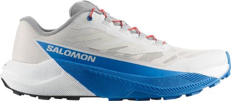 Salomon Pulsar Herenschoenen Grijs/Blauw