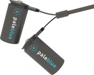 PILES RECHARGEABLES USB C / LR14