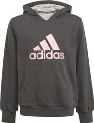 Sweatshirt à capuche enfant adidas Future Icons Logo