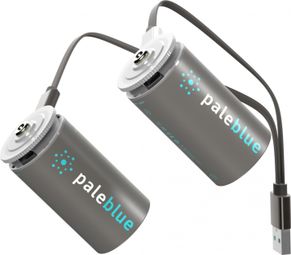 PILES RECHARGEABLES USB : D / LR20