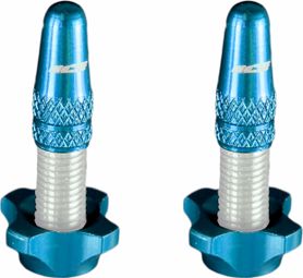 Aluminiumstopfen (x2) und Muttern (x2) <p>für </p>Ice Airflow Blau &1= <p>Aluminiumstopfen (x2) und Muttern (x2) für ICE Blue für Tubeless- oder Presta-Ventil </p>