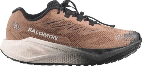 Chaussures Running Salomon Aero Blaze 4 GRVL Marron/Noir Homme