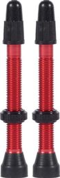Tubeless Ventile WTB TCS Messing Presta Ventil Rot