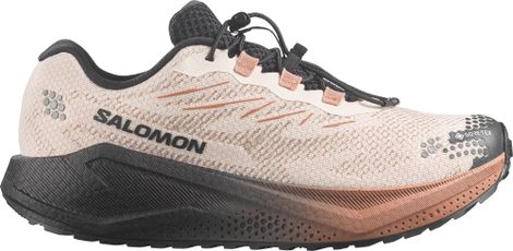 Chaussures Running Salomon Aero Blaze 4 GRVL GTX Beige/Marron Homme