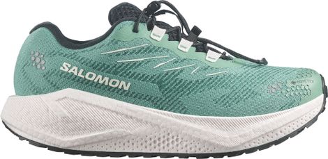 Chaussures Running Salomon Aero Blaze 4 GRVL GTX Vert Femme