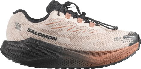 Chaussures Running Salomon Aero Blaze 4 GRVL GTX Beige/Marron Femme