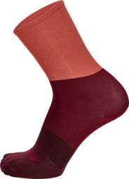 Santini Big Bengal Bordeaux Unisex Socks