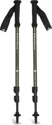 Bâtons de Randonnée Black Diamond Explorer 3 Trekking Poles Vert