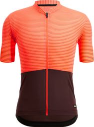 Santini Trikot Kurzarm Colore Riga Orange/Braun