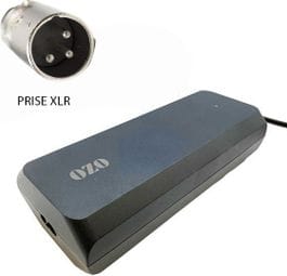 Chargeur 36V 4A pour batterie Lithium de vélo électrique prise XLR