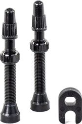 Paire de Valves Tubeless Hutchinson Presta