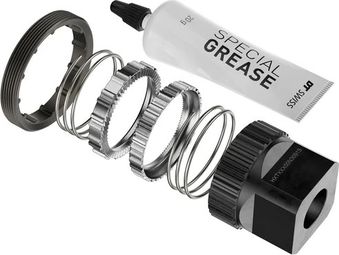 Service Kit DT Swiss Ratchet 54 Tanden