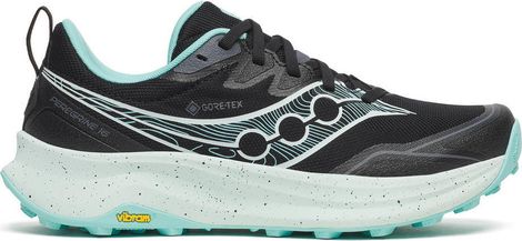 Saucony Peregrine 16 GTX Damesschoenen Zwart/Blauw