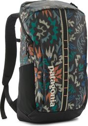 Patagonia Black Hole 25L Backpack Black/Multicolor