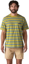 Patagonia Daily Pocket T-Shirt Verde Uomo