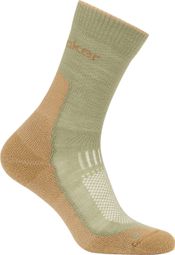 Icebreaker Merino Hike+ Crew Women's Socks Green