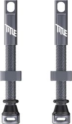 Paar tubeless ventielen Title Presta Grijs