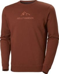 Camiseta Helly Hansen F2F Organic Cotto para hombre