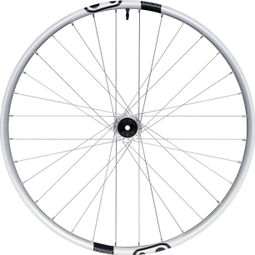 Crankbrothers Synthesis E-MTB Alloy 2.0 I9 29'' | Boost 12x148mm | 6 holes | Silver rear wheel