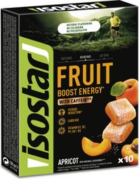 Frutta ad alta energia ISOSTAR 10x10gr (albicocca)