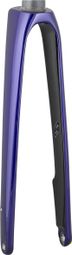 Trek Rigid Fork 2021 Domane SL6 700c Purple