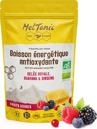 Boisson énergétique Bio Meltonic Antioxydante Fruits rouges - 700g