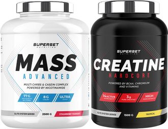 Programme Prise de Masse Avancé - Mass Advanced 2 5kg Fraise Yogourt - Créatine Hardcore 1 5 kg Tropical