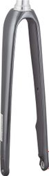 Fourche Rigide Trek 2021 Domane AL 5 700c Gris