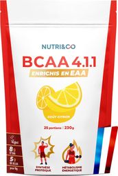 BCAA en Poudre 4.1.1 - Saveur Citron - 230g