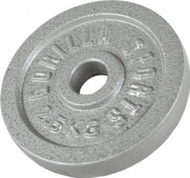 Disques de poids en fonte gris - De 0 5 KG à 30 KG - Poids : 2 5 KG