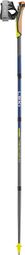 Leki Traveler Fx One Carbon opvouwbare Nordic Walking stokken Grijs/Blauw