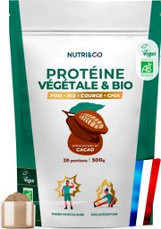 Protéine Vegan BIO - Masse Musculaire - Goût Cacao - 500G