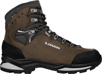 Lowa Camino Evo Gore-Tex Bruin Wandelschoenen