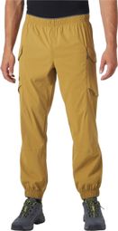 Helly Hansen Vista Hike Pants Brown