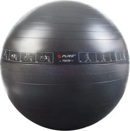 Pure2Improve Ballon d'exercice 75 cm Noir