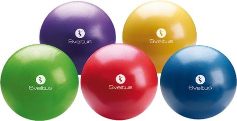 Ballon pédagogique boîte Sveltus