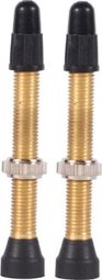 Tubeless Valves WTB TCS Brass Presta Valve Brass