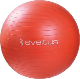 Gymball boîte Sveltus 55cm