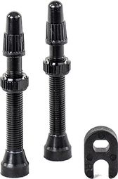 Hutchinson tubeless-ventielparen met demonte-obus