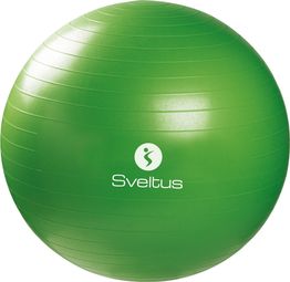 Gymball boîte Sveltus 65cm