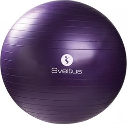 Gymball boîte Sveltus 75cm