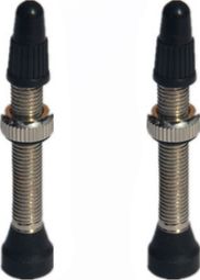 Paire de Valves Tubeless Progress PG-716 Presta 44mm Argent